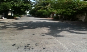 Villa For Rent